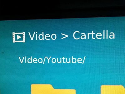 Come vedete mi visualizza solo la cartella e categoria di Youtube